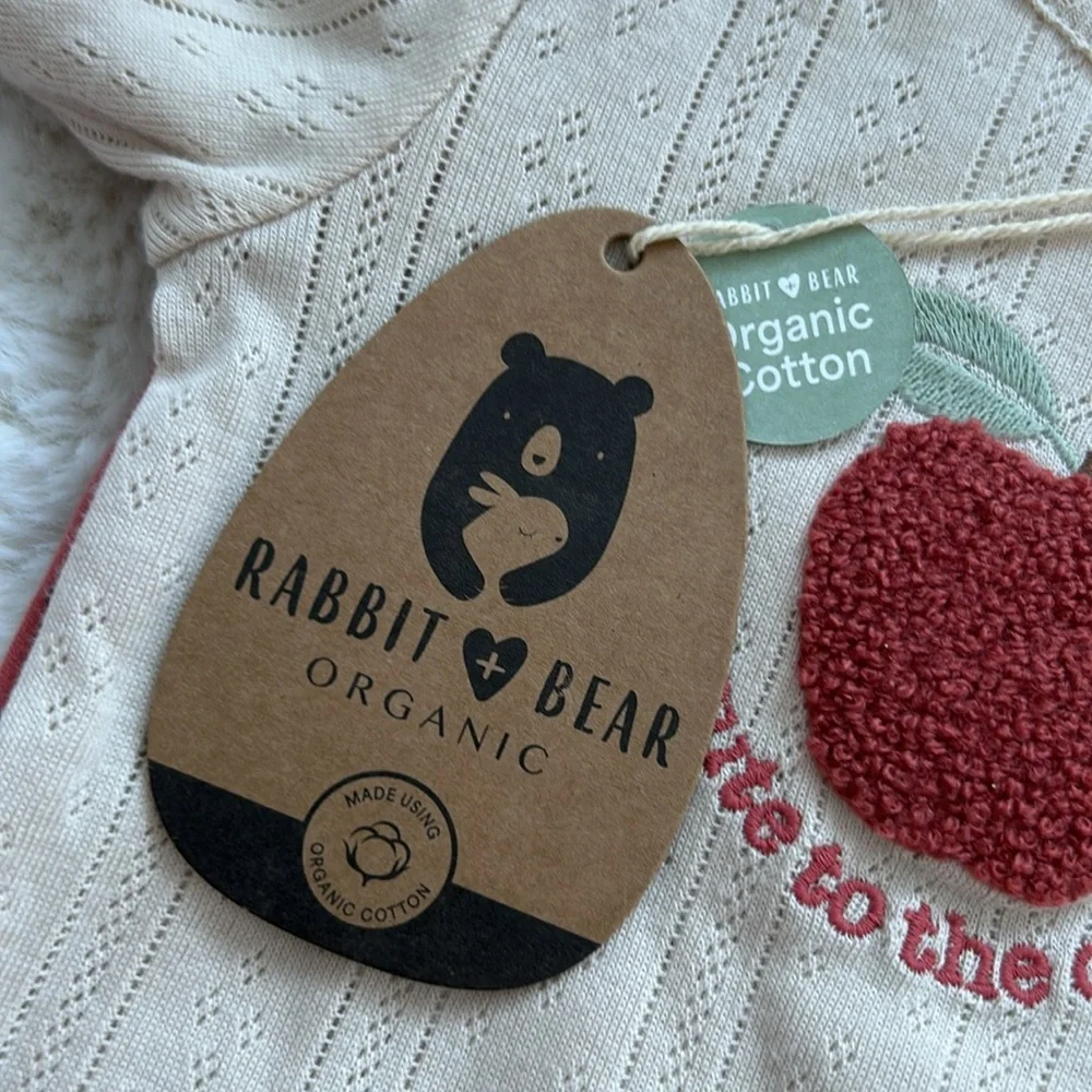 Baby Gap Rabbit + Bear Outfit Bundle